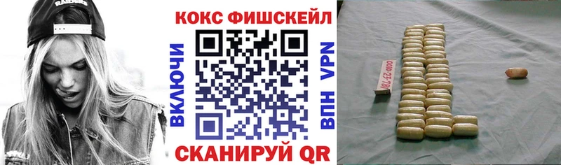 Купить где Курчалой Кокаин Fish Scale