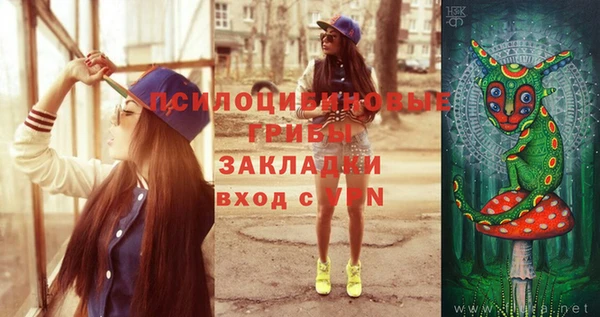 хмурый Киреевск