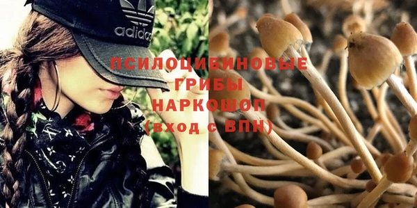 хмурый Киреевск