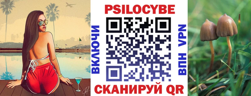 Псилоцибиновые грибы прущие грибы  Купить  Курчалой 