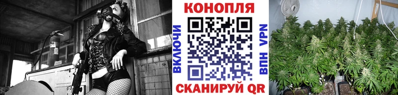 Канабис Amnesia  Купить закладки  Курчалой 